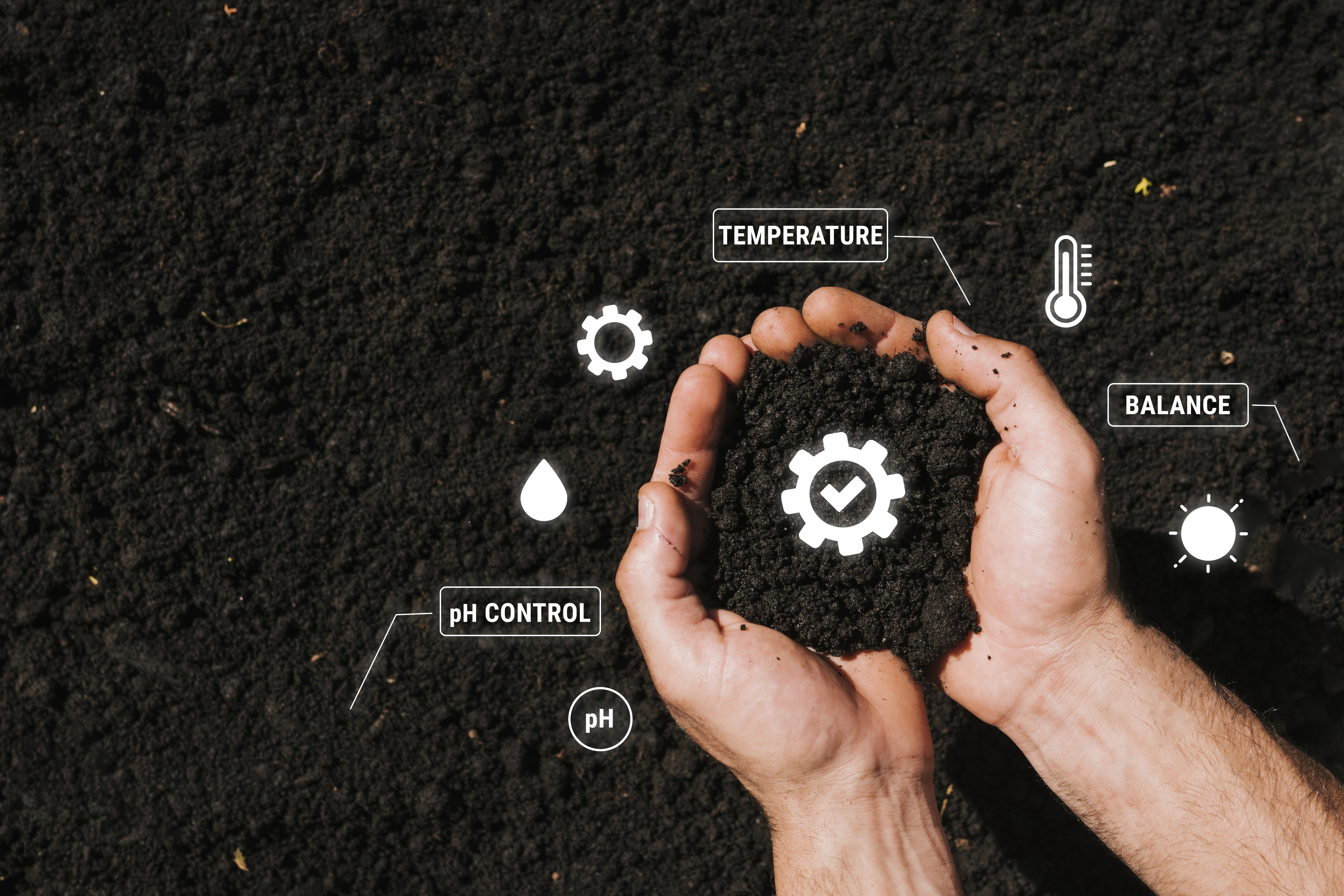 Soil Analysis